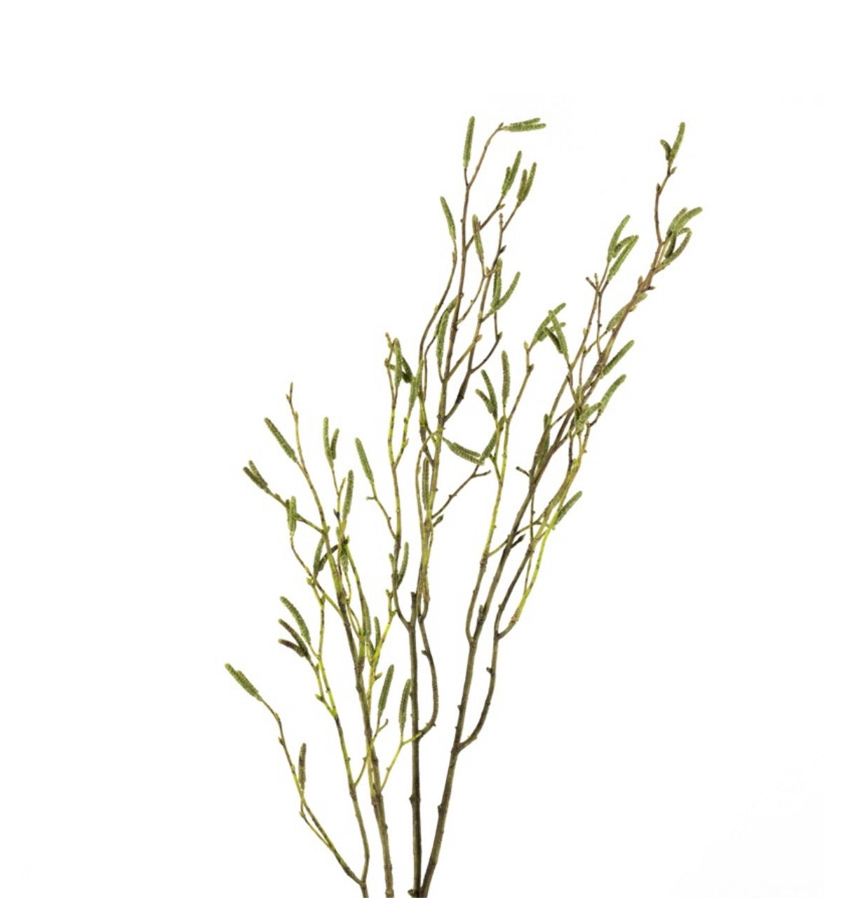 Kunsttak Callistemon 108cm