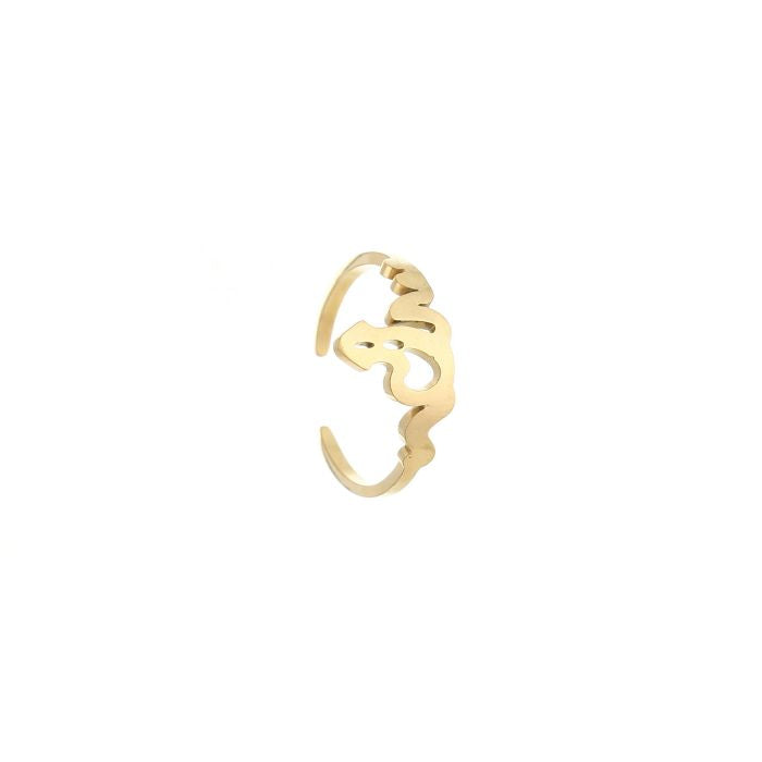 Verstelbare ring fantasie