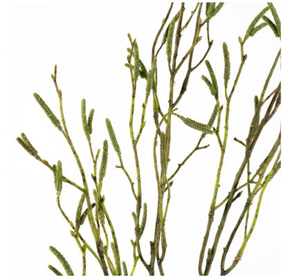 Kunsttak Callistemon 108cm