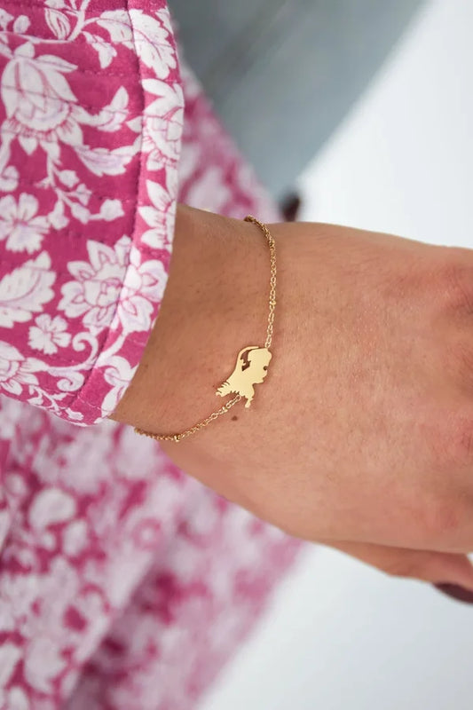 Armband Nederland