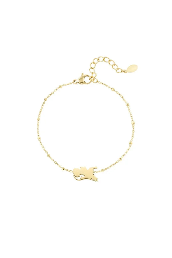 Armband Nederland