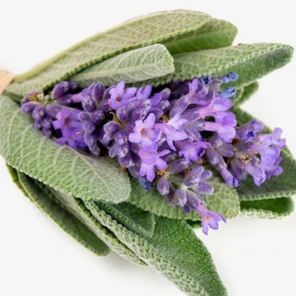 Wow scent