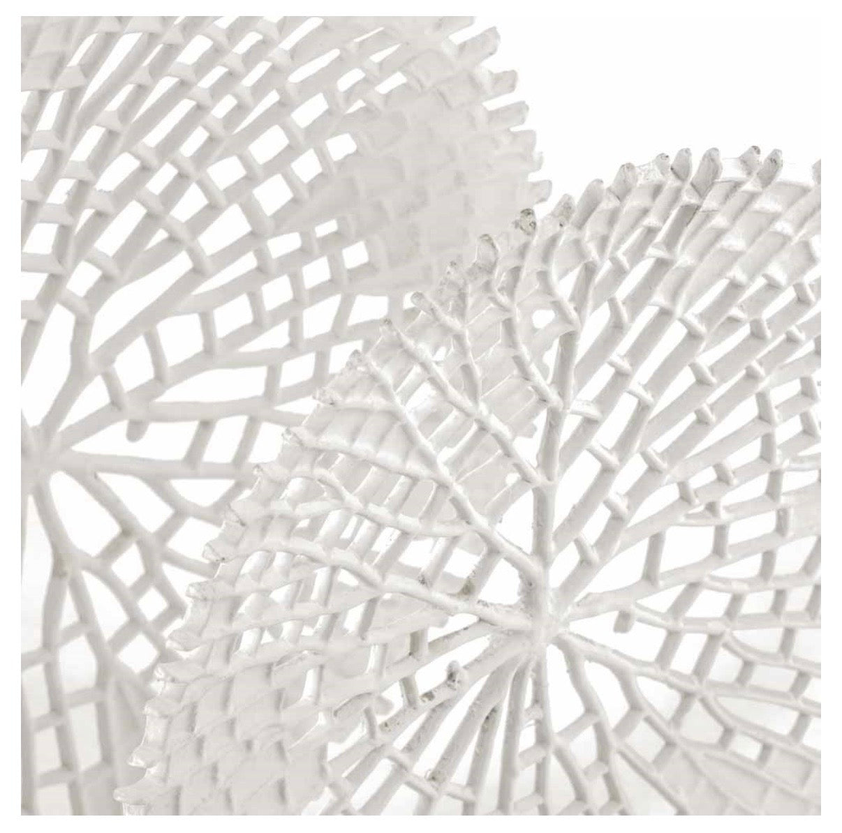 Ornament coral wit